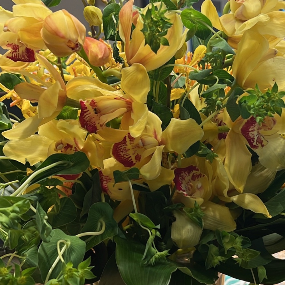 Meet your Posher, Cesar